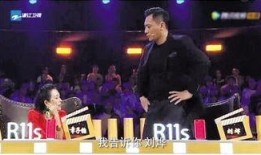 刘烨爆料汪峰视频大全,揭秘娱乐圈不为人知的一面