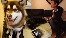 二狗单身青年爆料视频,单身生活大揭秘