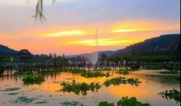 庆阳爆料风景视频,揭秘庆阳独特自然风光