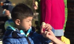 沙溢娱乐爆料视频大全,笑料百出，精彩瞬间回顾