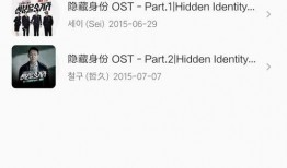 隐藏好身份在线观看,匿名网络世界的窥探之旅