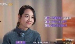 宋明星前妻爆料视频,揭秘婚姻内幕与情感纠葛