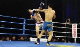 武林风最新爆料,神秘高手即将亮相，巅峰对决一触即发！