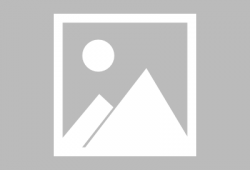 史呆芬邻居爆料视频,惊人真相曝光！