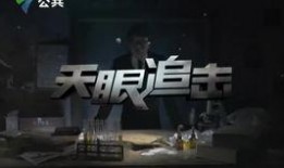 天眼在线观看粤语版,揭秘剧情高潮迭起
