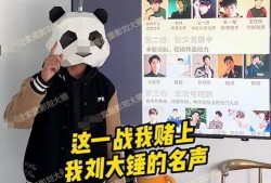 刘大锤今日爆料视频,揭秘今日热点事件内幕