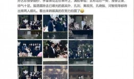 明星云集爆料视频大全,明星爆料视频大全精彩集锦