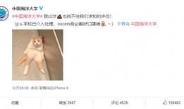 海洋最新爆料消息今天