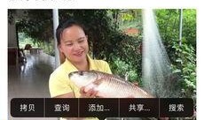 李鲆的短视频卖货爆料,揭秘爆款背后的秘密