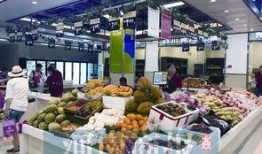 郑州菜市场爆料视频,新鲜食材与人间烟火气交织