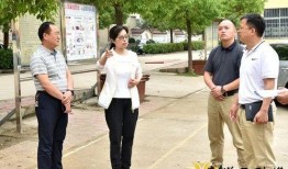 观察爆料箱怎么拍视频教程,如何用观察爆料箱拍摄视频教程