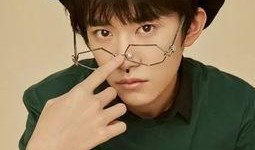 娱乐圈吃瓜易烊千玺,娱乐圈吃瓜界的“瓜王”