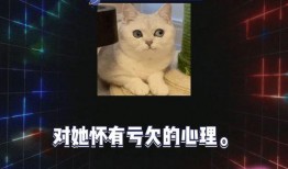 娱乐圈八卦吃瓜全集,揭秘明星幕后真相，吃瓜全集大揭秘