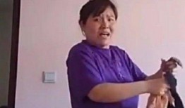 郭老师与娱乐吃瓜君,揭秘娱乐圈背后的故事