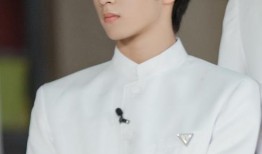 关于刘耀文的娱乐大爆料,独家爆料背后的真相与内幕