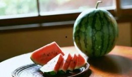 西瓜食堂爆料视频大全,揭秘校园美食背后的故事