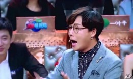 刘维爆料录音视频大全播放,揭秘娱乐圈幕后真相