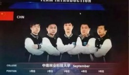 大林子最新爆料新闻,娱乐圈最新爆料事件全解析