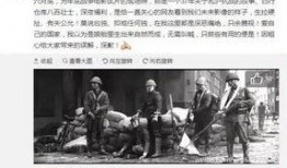 厦门娱乐爆料事件始末视频,真相揭秘与舆论风波全记录