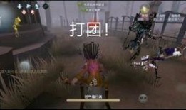 野人第五人格爆料视频大全,爆料视频大全深度解析
