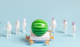 娱乐圈爆料网站大全最新,揭秘明星幕后故事与幕后黑幕