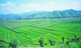 农村爆料标题大全最新新闻,揭秘最新农村热点事件背后的真相