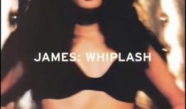 whiplash 在线观看,一场震撼心灵的爵士鼓传奇