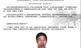 爆料全网通缉犯名单最新,揭秘犯罪分子身份与作案手法