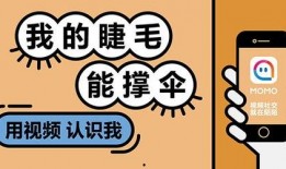 爆料娱乐的文案句子搞笑,笑料百出，文案句子让你捧腹大笑！