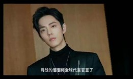 娱乐事件大爆料肖战,幕后真相与公众舆论的碰撞