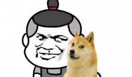 二狗单身青年爆料视频,单身生活大揭秘