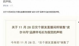 辛巴品牌爆料最新消息,揭秘神秘新品，引领潮流新风尚！