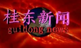 爆料今日视线新闻最新,揭秘最新爆料背后的真相