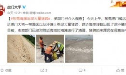 徐州新农人爆料视频曝光,引发社会关注