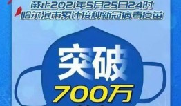 《针》在线观看,揭秘现代都市中的悬疑与人性较量