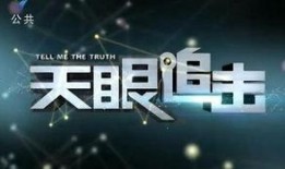 天眼在线观看粤语版,揭秘剧情高潮迭起
