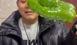 文安吃瓜事件网红视频大全,网红视频大盘点，揭秘网络热点背后的真相