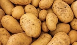 飘帅全集在线观看土豆,热血青春，激情燃烧的岁月