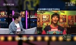 刘维爆料录音视频大全播放,揭秘娱乐圈幕后真相