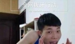 飞盘圈内幕爆料,那些不为人知的幕后故事