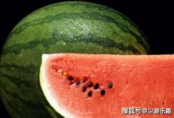 娱乐吃瓜酱西瓜,揭秘娱乐圈那些鲜为人知的瓜皮故事