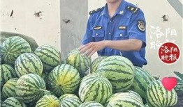 杭州网红打架吃瓜视频,一场网络直播间的“吃瓜”盛宴