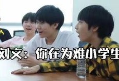 关于刘耀文的娱乐大爆料,独家爆料背后的真相与内幕