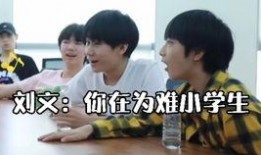 关于刘耀文的娱乐大爆料,独家爆料背后的真相与内幕