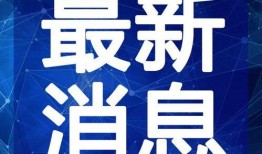 过年网友爆料视频大全最新,网友爆料视频大全，精彩瞬间尽收眼底