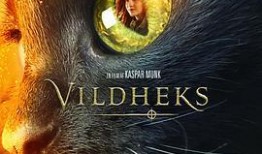 女巫电影手机在线观看,手机在线观看，揭秘神秘女巫的奇幻世界