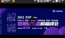 六点爆料冰岛直播视频,六点爆料带你领略神秘北欧风光