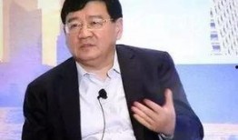 徐小平爆料完整版视频,揭秘创业圈真实内幕与行业痛点