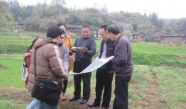 农民老张最新爆料新闻,揭秘农村新动向背后的惊人真相！