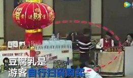 爆料香港旅游团视频播放,一场别开生面的文化之旅